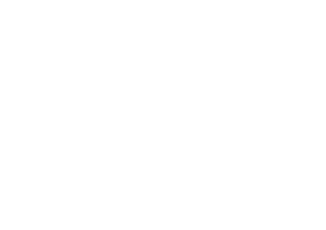 Logo Bufala Delight bianco in trasparenza